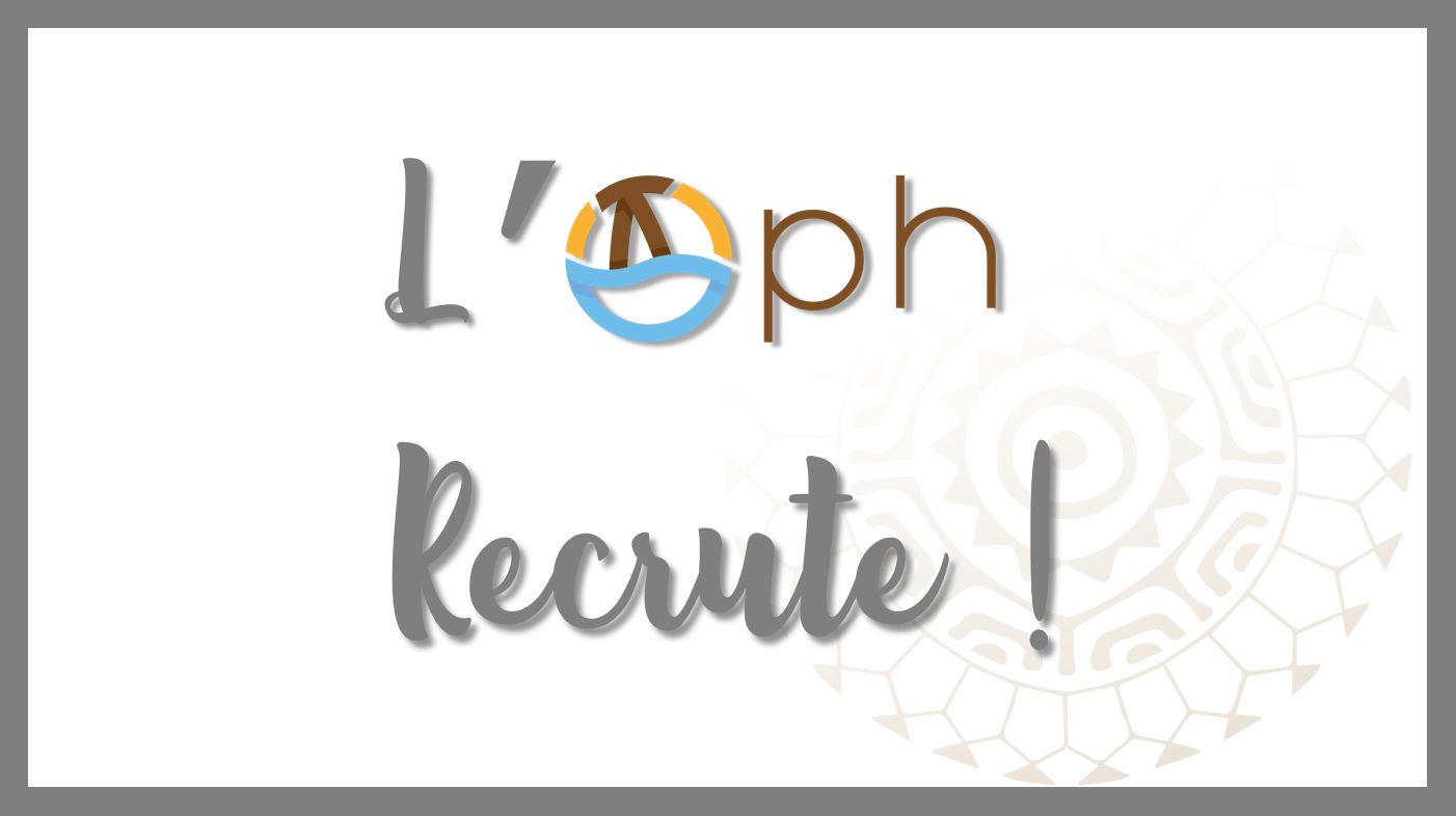 L'OPH recrute 1 informaticien H/F